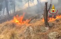 إيطاليا: حرائق في صقيلية وعواصف رعدية شمال شرق للبلاد