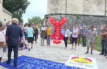 [Vidéo] Le #homardgate, scandale de l’été en France