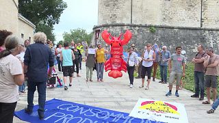 [Vidéo] Le #homardgate, scandale de l’été en France