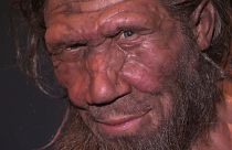 دراسة: الرجل الأفريقي هاجر إلى أوروبا قبل 210 آلاف عام