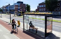 Getting from A to bee: Utrecht installs environmentally-friendly bus stops