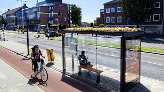 Getting from A to bee: Utrecht installs environmentally-friendly bus stops