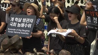 ویدئو؛ راهپیمایی مخالفان و موافقان خوردن گوشت سگ در کره