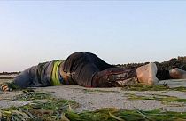 اجساد ۸۲ مهاجر در سواحل تونس از آب گرفته شد