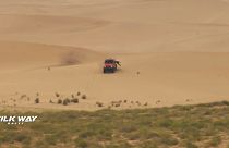 Sand dunes challenge drivers and riders on Stage 8 of Silk Way Rally