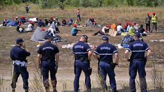 Minden egyes illegális határsértő 22 milliójába kerül a rendőrségnek - írja a Népszava