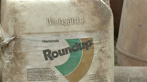 Monsanto-Klage: Schadenersatz auf 25 Millionen herabgesetzt Monsanto-Klage: Schadenersatz auf 25 Millionen herabgesetzt