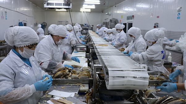Nisan ayında işsizlik oranı yüzde 13 oldu: İşsiz sayısı 4 milyon 202 bine ulaştı Nisan ayında işsizlik oranı yüzde 13 oldu: İşsiz sayısı 4 milyon 202 bine ulaştı