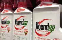 Monsanto: meno risarcimento, ma condanna confermata