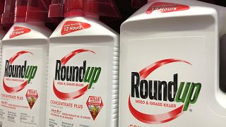 Monsanto: meno risarcimento, ma condanna confermata