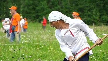 Watch: Russians compete in grass scything contest