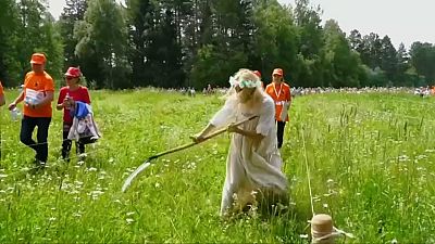 Rusya'da tırpanla çim biçme yarışması heyecanı