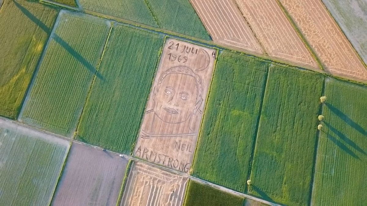 Портрет Нила Армстронга на пшеничном поле