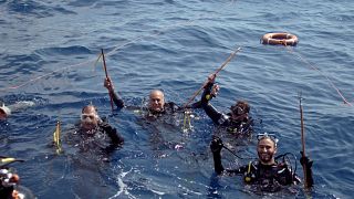 Watch: Food initiative tackles Cyprus' lionfish invasion