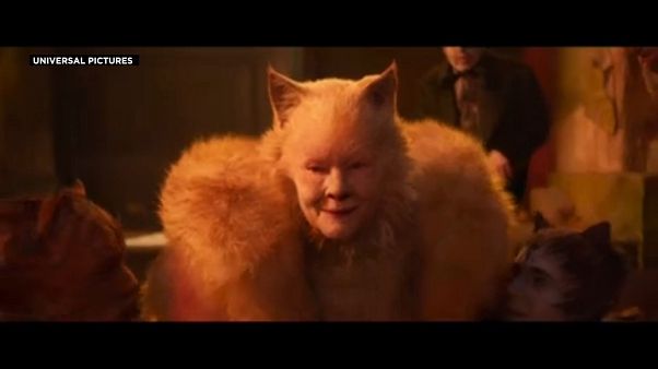 "Кошки" пошли в кино "Кошки" пошли в кино