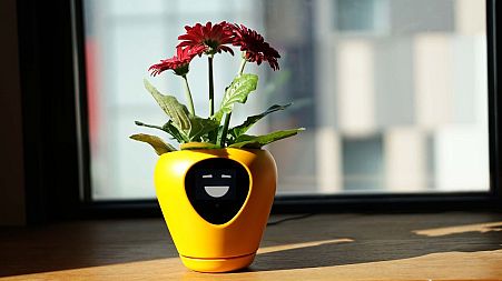 The planter's face conveys a range of emotions