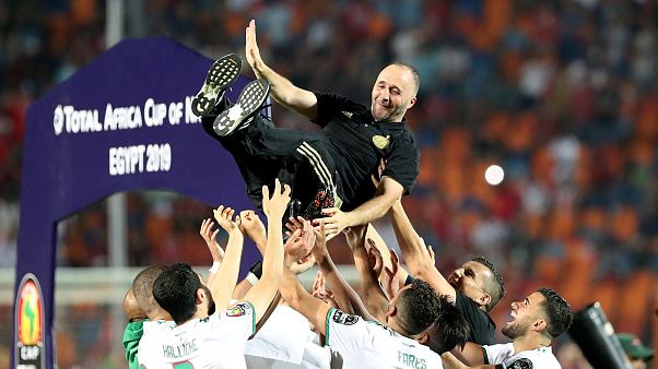 Djamel Belmadi, ct dell'Algeria, festeggiato dai suoi giocatori. Djamel Belmadi, ct dell'Algeria, festeggiato dai suoi giocatori.