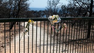 Λουλούδια στα κάγκελα του οικόπεδου, όπου έχασαν την ζωή τους 26 άνθρωποι
