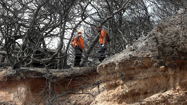 Συνεργεία διάσωσης ερευνούν για ανεύρεση τυχόν αγνοουμένων στην Αργυρά Ακτή Συνεργεία διάσωσης ερευνούν για ανεύρεση τυχόν αγνοουμένων στην Αργυρά Ακτή