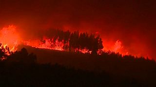 Más de 20 heridos en Portugal en una nueva oleada de incendios