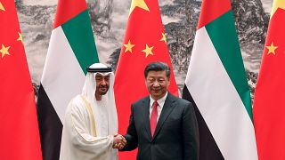 BAE Veliaht Prensi Muhammed bin Zayed / Çin Devlet Başkanı Şi Cinping