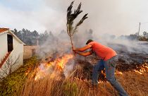 Il Portogallo brucia, forse incendi di origine dolosa