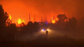 شاهد:  نشر أكثر من ألف رجل إطفاء لإخماد حرائق في وسط البرتغال