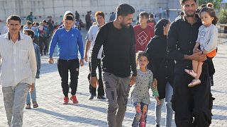 Türkiye'ye yasa dışı yollardan giren göçmenler