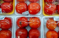 Tomatoes wrapped in several layers of plastic
