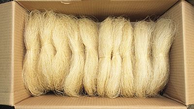 Have you heard of this fabric made from nettles? Have you heard of this fabric made from nettles?