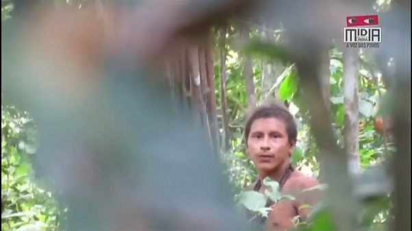 Novo vídeo de indígenas isolados na Amazónia Novo vídeo de indígenas isolados na Amazónia