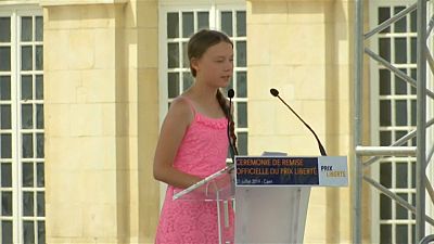 Greta Thunberg divide França