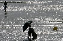 Europe heatwave: UK could break all-time temperature record