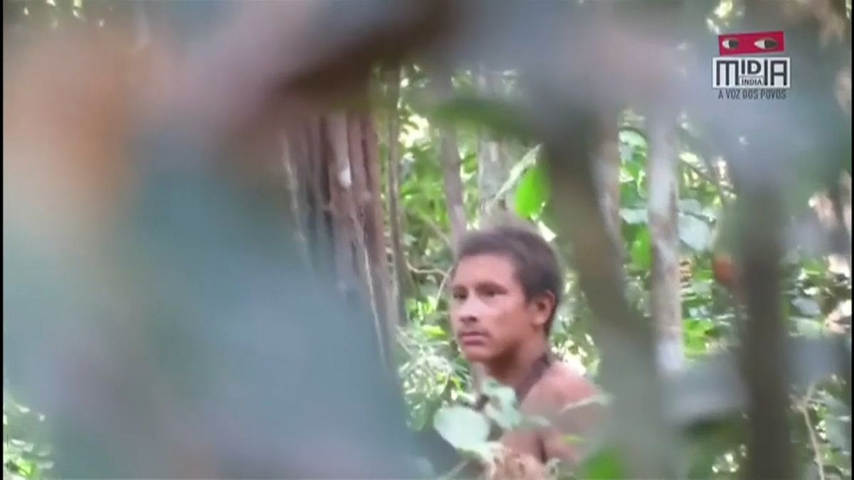 Amazonas: Stamm durch Rodung bedroht 