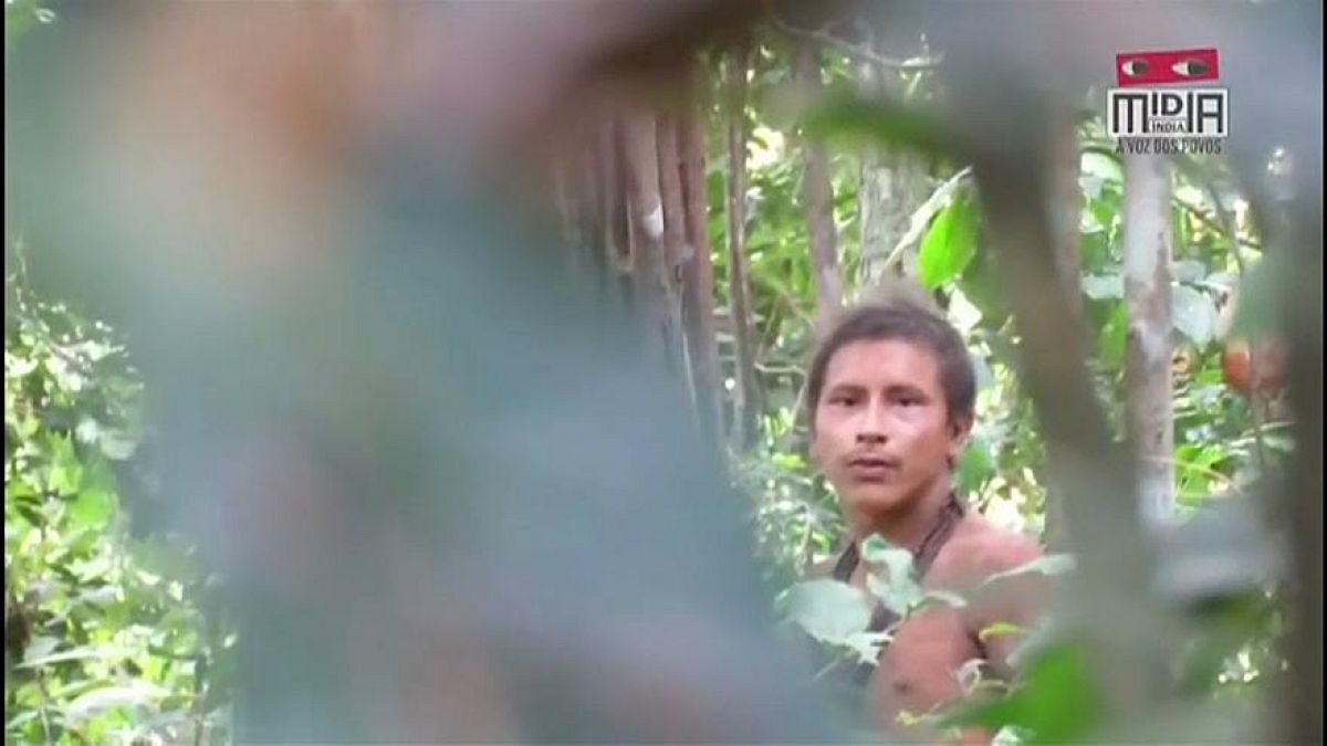 شاهد: أفراد قبيلة أمازونية معزولة يتهددها خطر إزالة الغابات