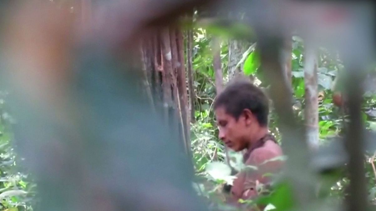 [Vídeo] Imágenes de indígenas Awá para denunciar la deforestación