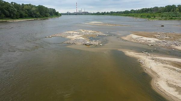 Dürre in Polen - Wasserstand der Weichsel bei 40 Zentimeter Dürre in Polen - Wasserstand der Weichsel bei 40 Zentimeter