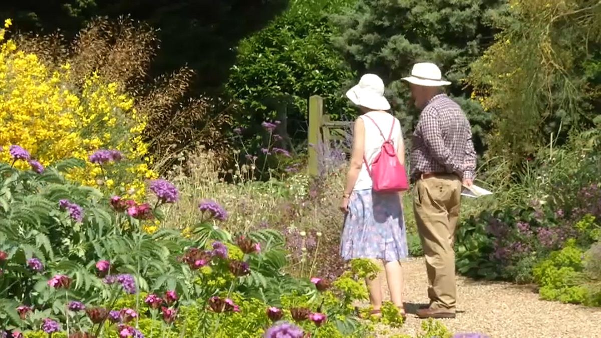 فيديو: تعرف على حدائق "بيث شاتو" حيث تنمو الأزهار بدون قطرة ماء واحدة