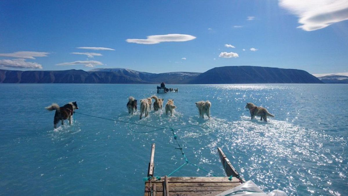 1880'den beri dünyanın en sıcak temmuz ayı yaşanıyor
