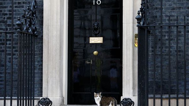 Boris Johnson'ın hükümetinde kimler var? Johnson kardeşine hangi görevi verdi? Boris Johnson'ın hükümetinde kimler var? Johnson kardeşine hangi görevi verdi?