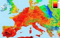 Hitzewelle: Es purzeln die Rekorde - 41,5 in Lingen