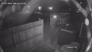شاهد: دب يحاول سرقة صندوق قمامة في كولارادو