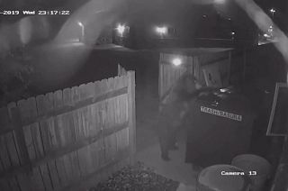 Bear steals bin from Colorado marijuana dispensary