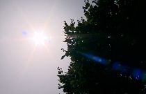 Brüssel: „Seit rund zwei Jahren große Trockenheit“