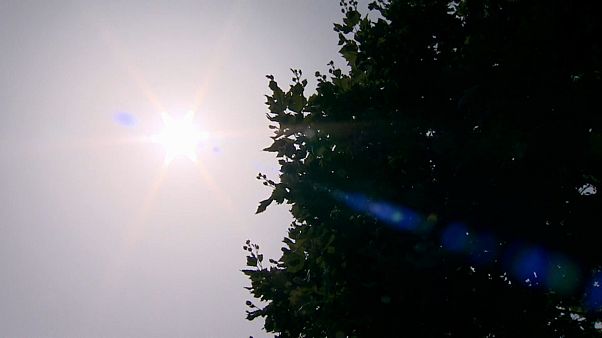 Brüssel: „Seit rund zwei Jahren große Trockenheit“ Brüssel: „Seit rund zwei Jahren große Trockenheit“