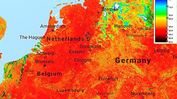 Rosso su tela: ritratti di un continente bruciato dal caldo Rosso su tela: ritratti di un continente bruciato dal caldo