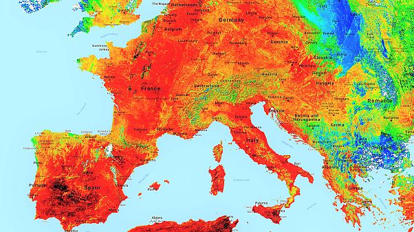 Temperatura en superficie el 24/07/2019 Temperatura en superficie el 24/07/2019