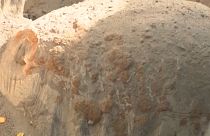 Hatástalanították a városligeti bombát