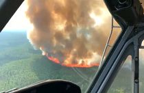 شاهد: اندلاع حرائق الغابات في ألاسكا بشكل يومي