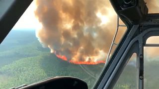 شاهد: اندلاع حرائق الغابات في ألاسكا بشكل يومي